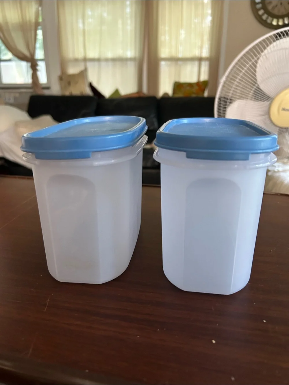 Vintage Tupperware Blue-Lid Food Storage Containers - Set of 2 5x3.5x7”